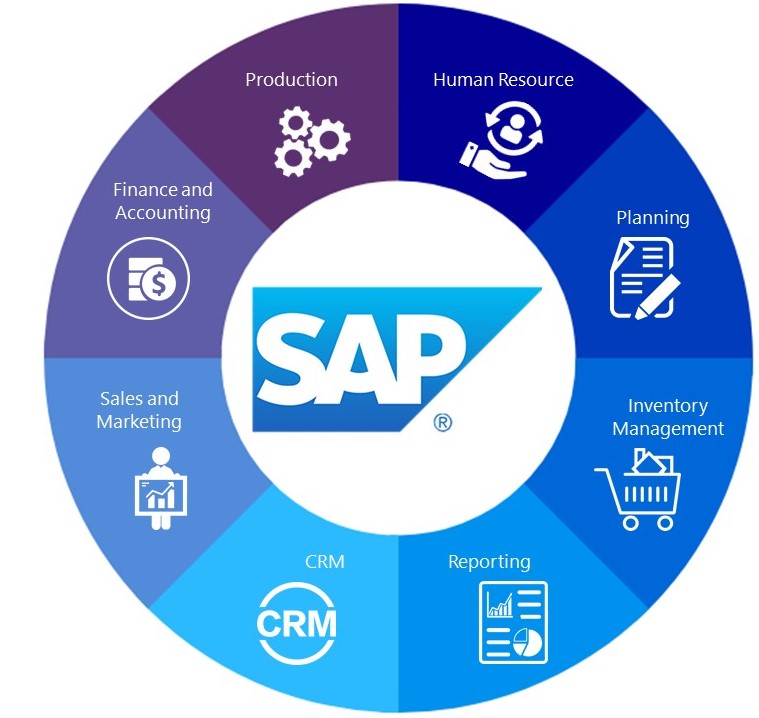 SAP Consulting, Customization & Implementation Services | TP&P Technology  (Vietnam)