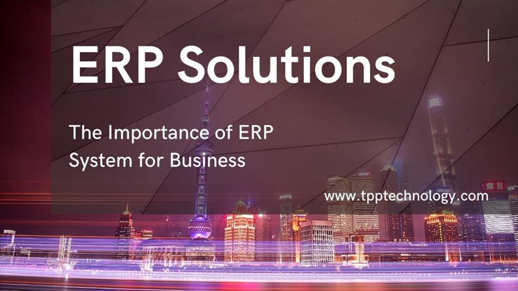 erp-consulting-implementation-services-tpp-technology